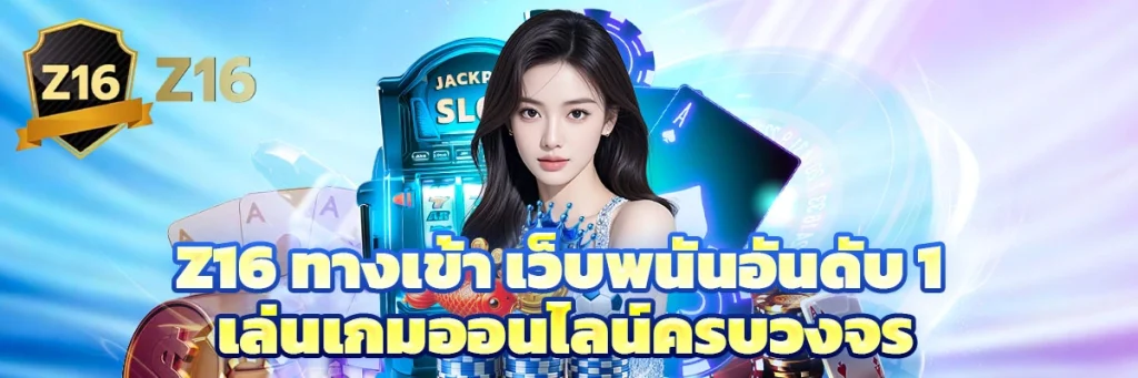 z16 ทางเข้า