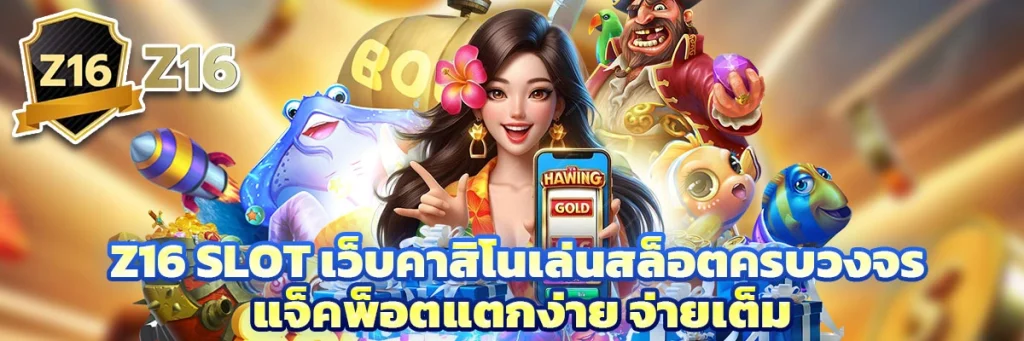 z16 slot