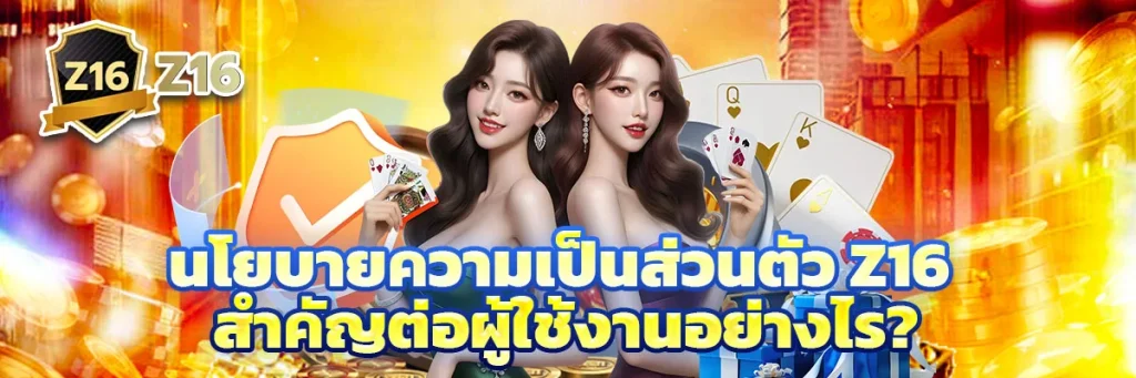 นโยบายความเป็นส่วนตัว z16