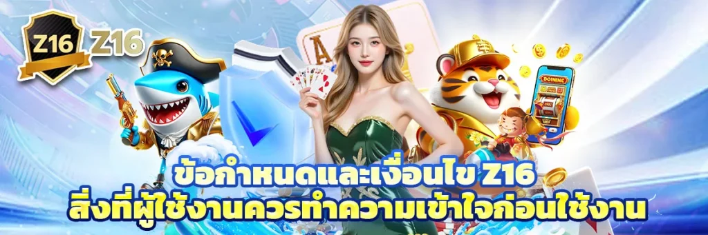 ข้อกำหนดและเงื่อนไข z16
